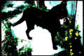 black lab wildflowers Vintage A4 Photo Print