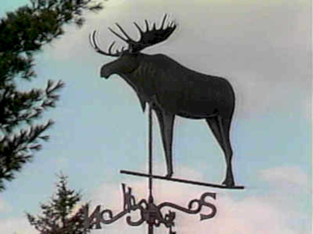 black metal moose1980s 1990s A4 Photo Print