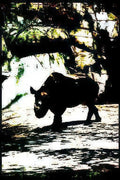 black rhinoceros savanna Vintage A4 Photo Print