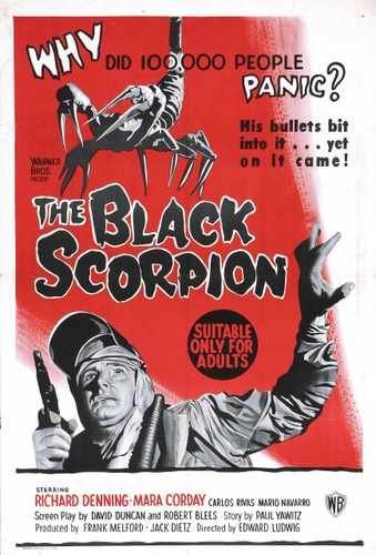 black scorpion  02 film star poster A4 Photo Print