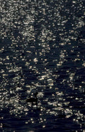 blackwater reflection night Vintage A4 Photo Print
