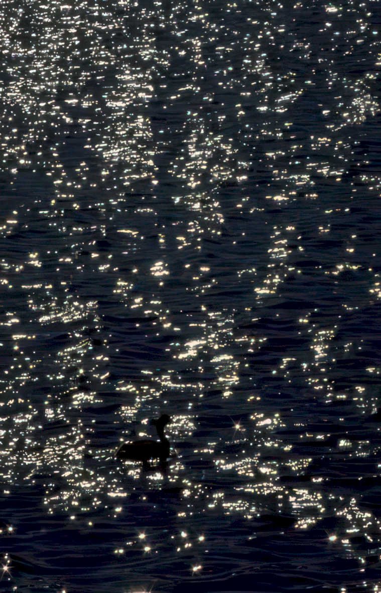 blackwater reflection night Vintage A4 Photo Print