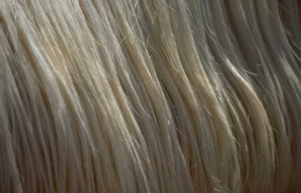blonde hair texture