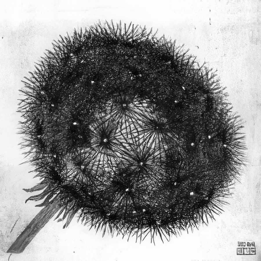 blowball i mc escher 1943 A4 Photo Print