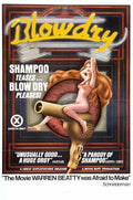 blowdry  01 film star poster A4 Photo Print