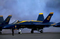 blue angels f 21980s 1990s A4 Photo Print