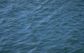 blue green waves Vintage A4 Photo Print