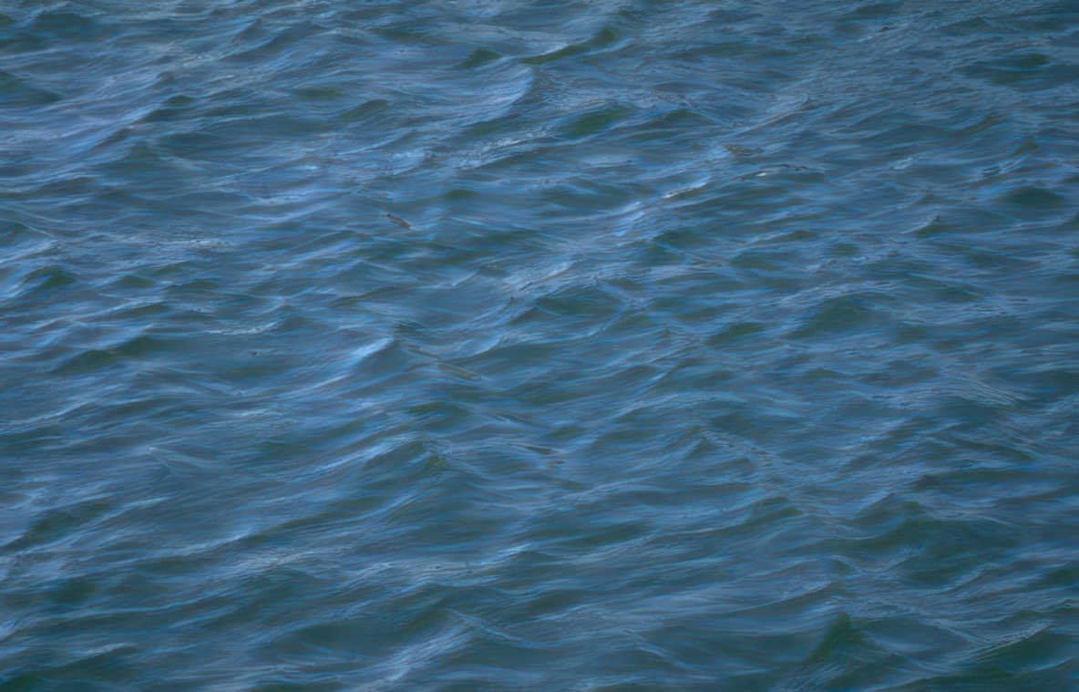blue green waves Vintage A4 Photo Print