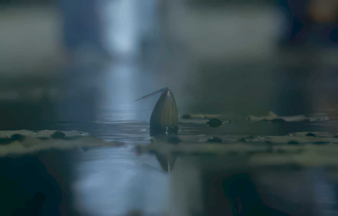 blue heron wetland GIGA Vintage A4 Photo Print