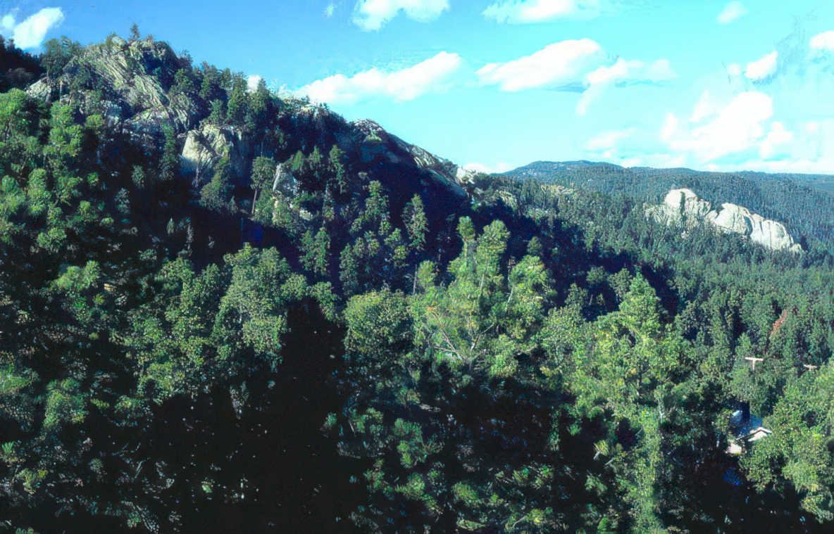 blue ridge mountains Vintage A4 Photo Print