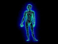 blue skeleton male1980s 1990s A4 Photo Print