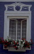 blue window box 1980s 1990s A4 Photo Print