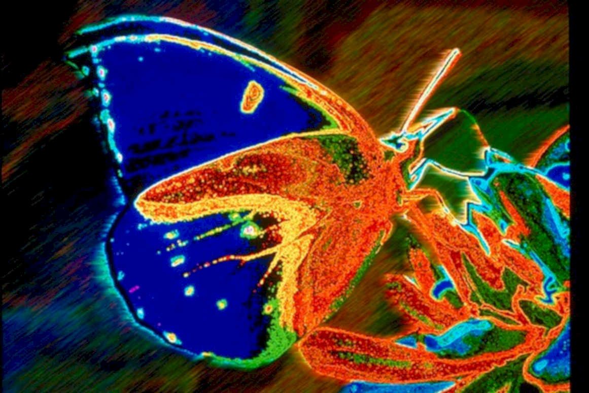 bluemorpho bokeh abstract1980s 1990s A4 Photo Print