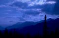 bluemountainnight silhouettedtrees 1980s 1990s A4 Photo Print