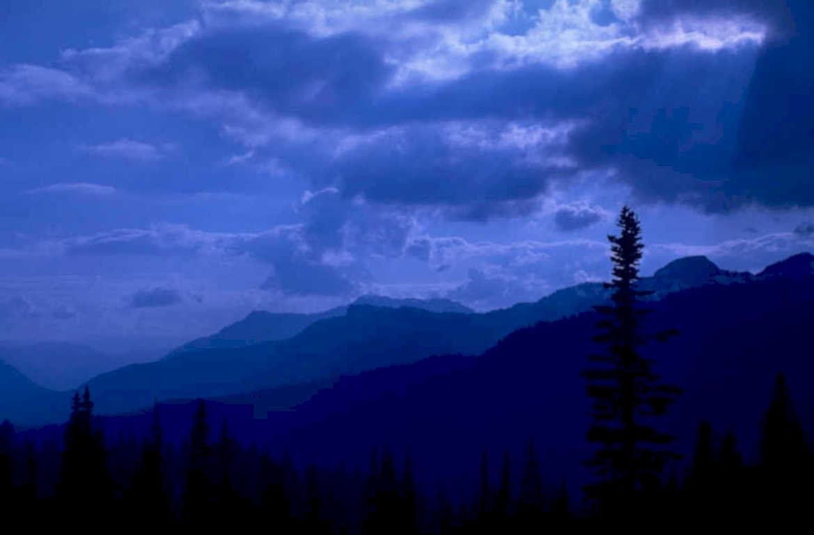 bluemountainnight silhouettedtrees 1980s 1990s A4 Photo Print