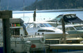 boats dock puget Vintage A4 Photo Print