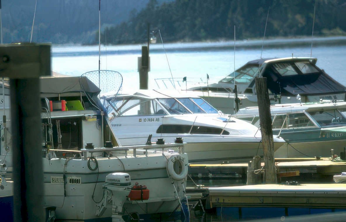 boats dock puget Vintage A4 Photo Print