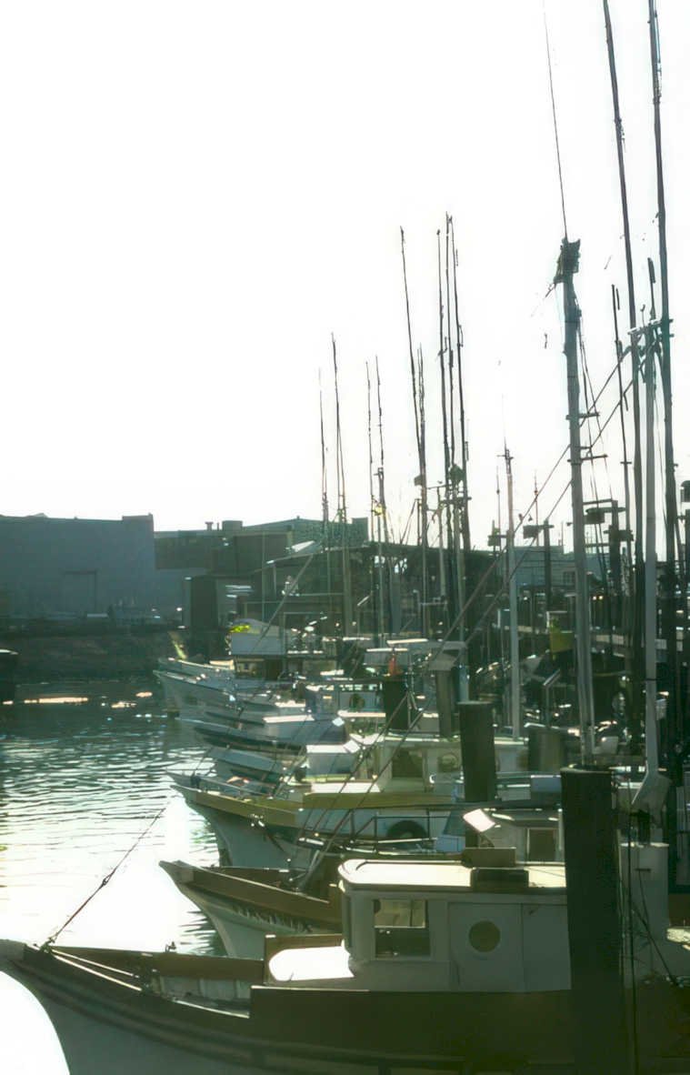boats harbor porttownsend Vintage A4 Photo Print