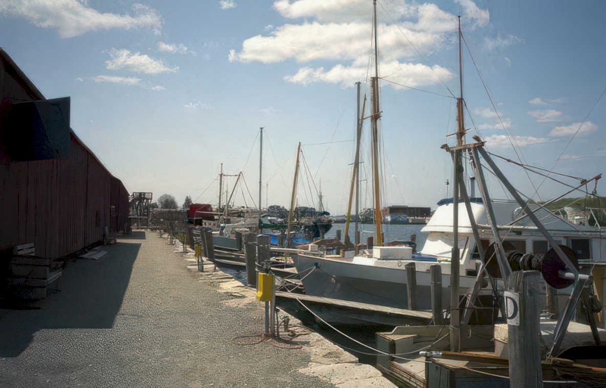 boats pier harbor Vintage A4 Photo Print