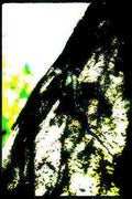 bob marley portrait Vintage A4 Photo Print