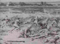 boer War 2036Boer Military A4 Photo Print