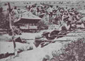 boer War 2040Boer Military A4 Photo Print