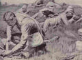 boer War 2056Boer Military A4 Photo Print