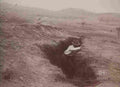 boer War 2062Boer Military A4 Photo Print