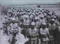 boer War 2074Boer Military A4 Photo Print