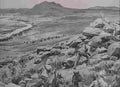 boer War 2187Boer Military A4 Photo Print