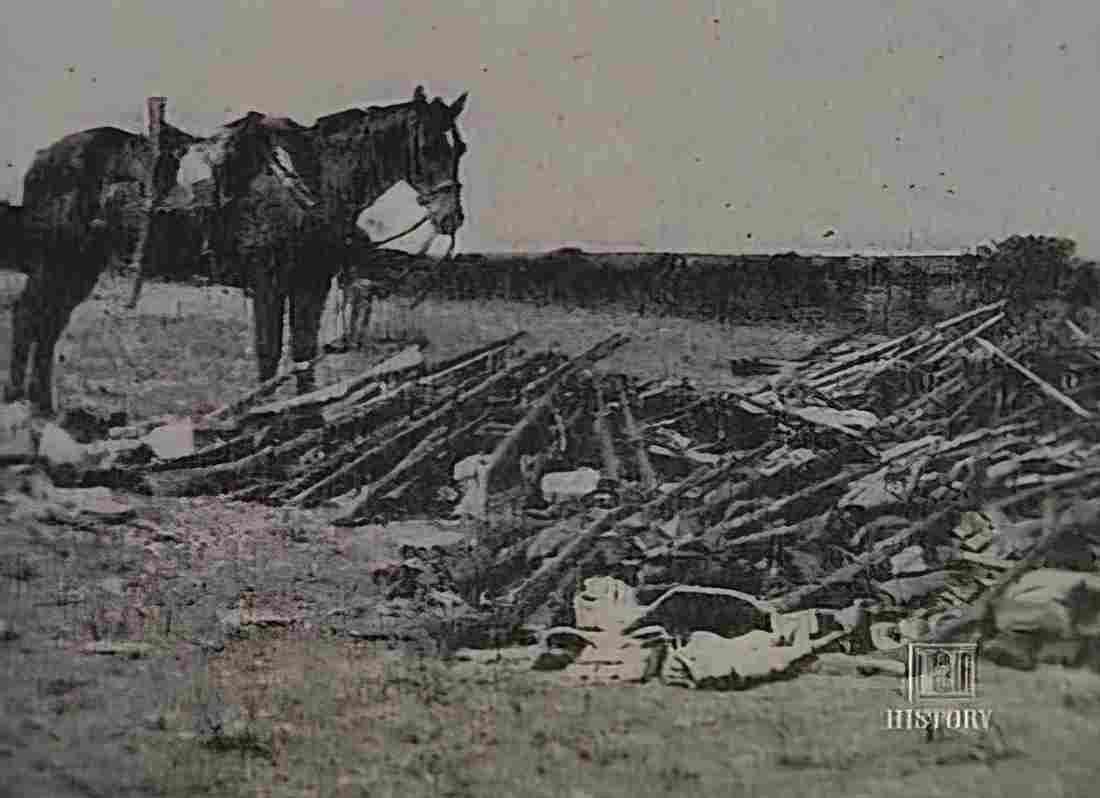 boer War 2193Boer Military A4 Photo Print