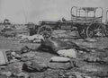boer War 2199Boer Military A4 Photo Print