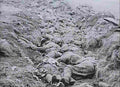 boer War 2220Boer Military A4 Photo Print