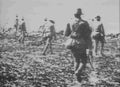 boer War 2224Boer Military A4 Photo Print