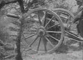 boer War 2230Boer Military A4 Photo Print