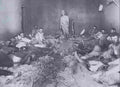 boer War 2261Boer Military A4 Photo Print