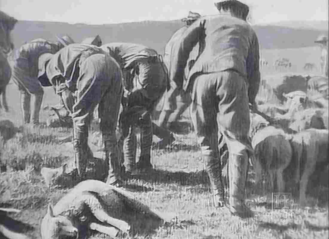 boer War 2374Boer Military A4 Photo Print