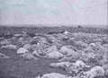 boer War 2375Boer Military A4 Photo Print