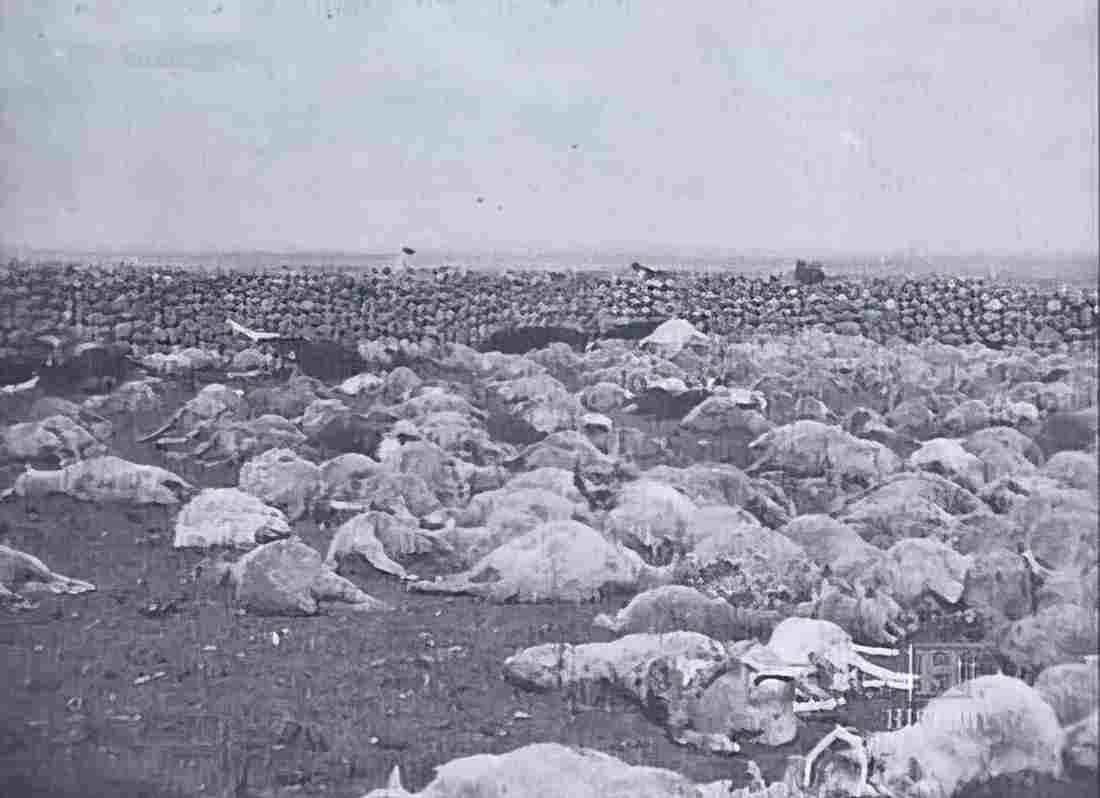 boer War 2375Boer Military A4 Photo Print