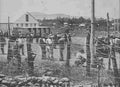 boer War 2415Boer Military A4 Photo Print