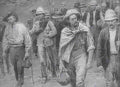 boer War 2442Boer Military A4 Photo Print