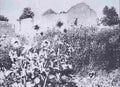 boer War 2460Boer Military A4 Photo Print