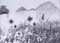 boer War 2461Boer Military A4 Photo Print