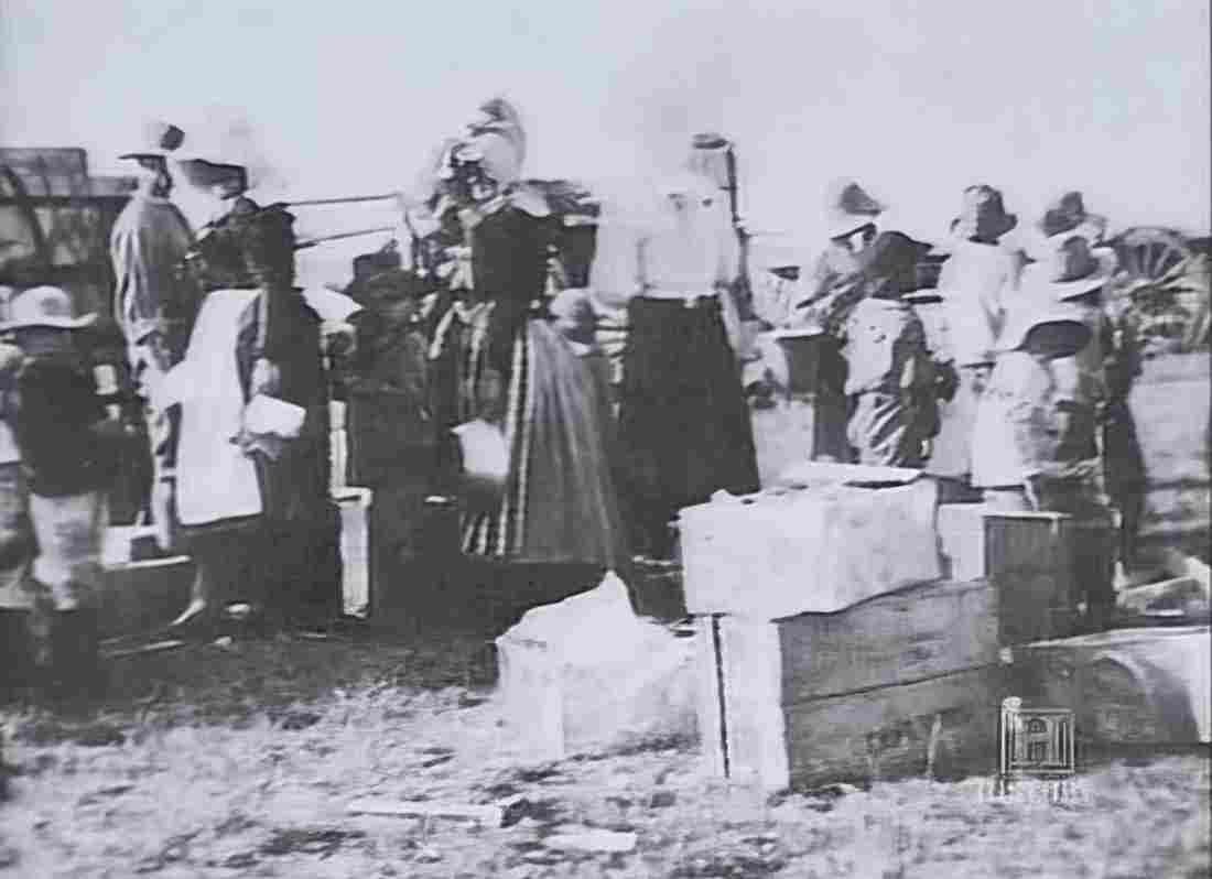 boer War 2463Boer Military A4 Photo Print