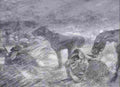 boer War 2471Boer Military A4 Photo Print