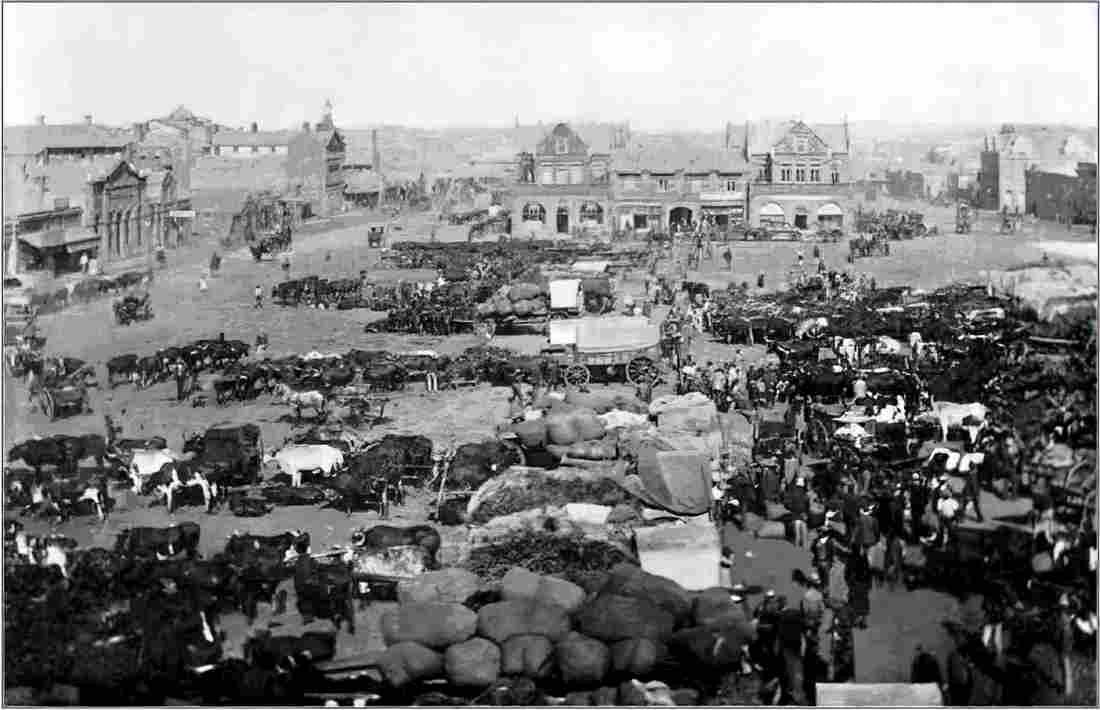 boer War 292Boer Military A4 Photo Print