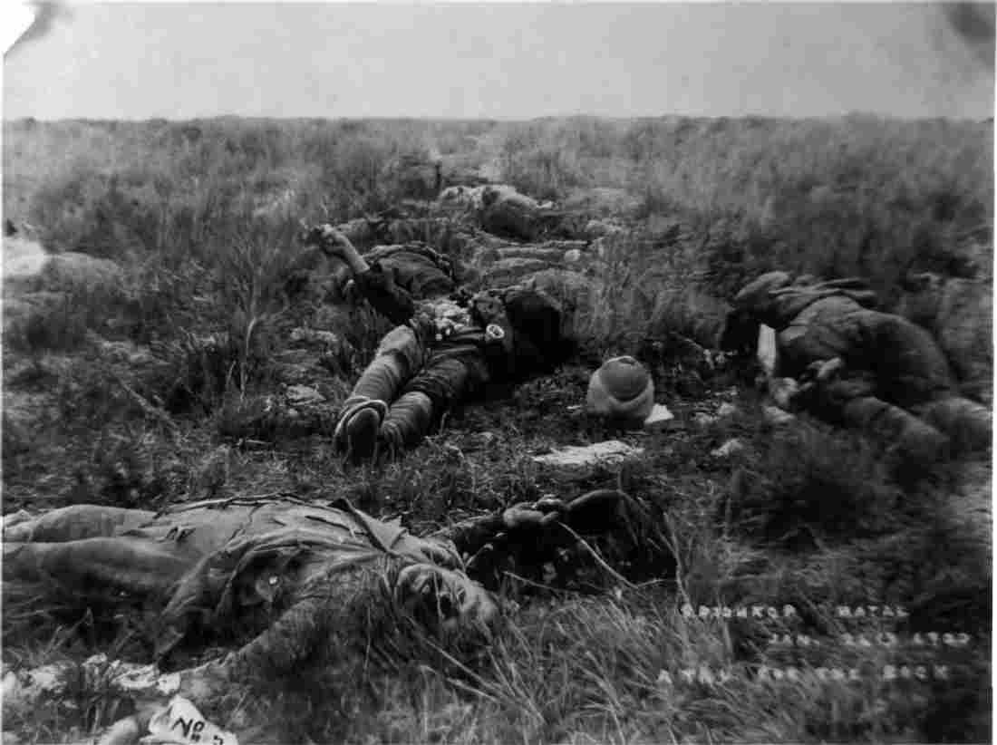 boer War 379Boer Military A4 Photo Print