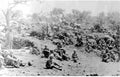 boer War 417Boer Military A4 Photo Print