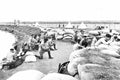 boer War 418Boer Military A4 Photo Print
