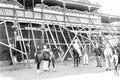 boer War 426Boer Military A4 Photo Print